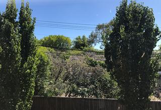 View (2017-03-09)