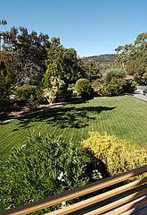 Front yard (2004-03-24)