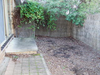 Courtyard (2003-08-27)