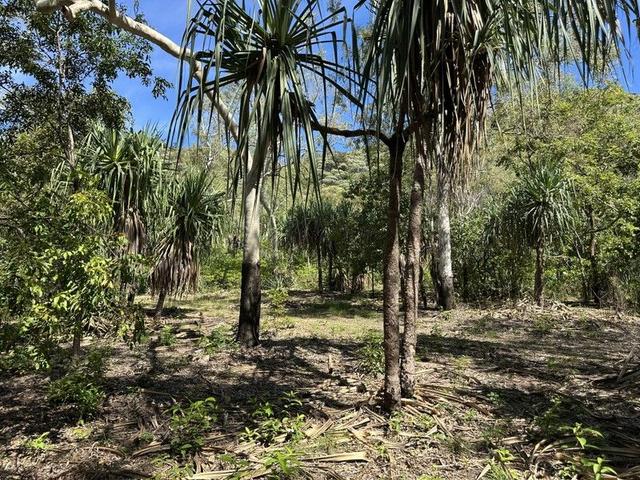 135 Horseshoe Bay Rd, QLD 4819