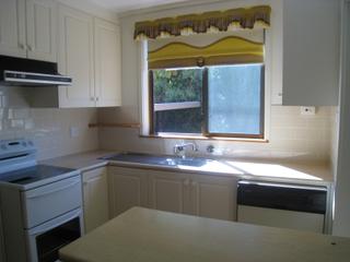 Kitchen (2012-04-10)