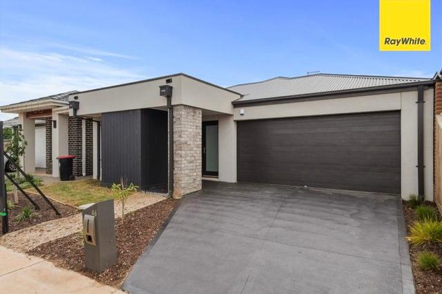 46 Shelterbelt Avenue, VIC 3338