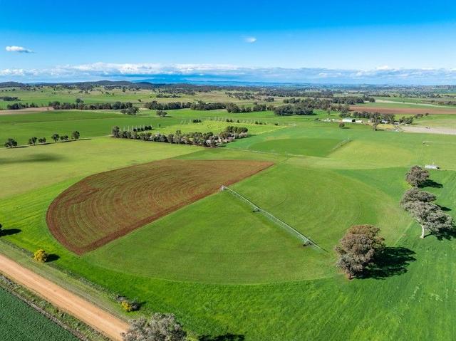 164 Settlement Bridge Road, NSW 2804