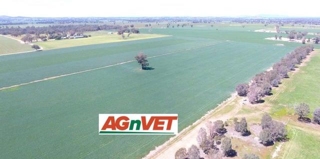 0 Olympic Highway, NSW 2658