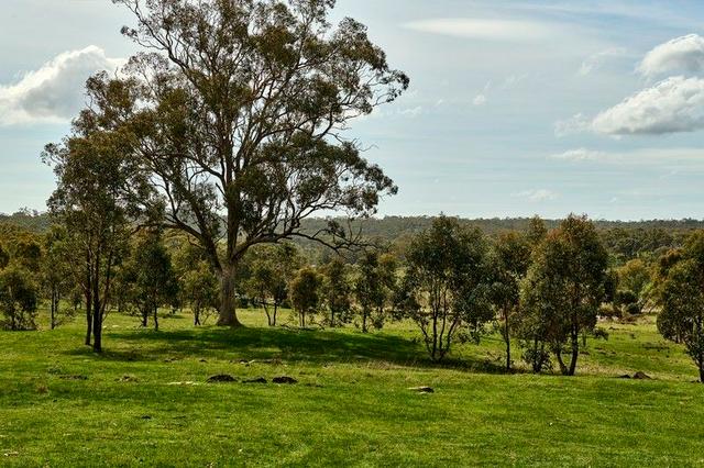 545 Spring Flat Road, VIC 3523