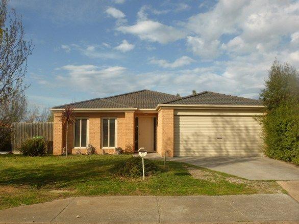 5 Chestnut Grove, VIC 3030
