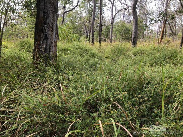 Lot 154 / 764 Hodzic Road, QLD 4880