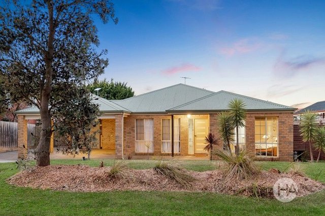 25 Sweet Wattle Place, VIC 3912