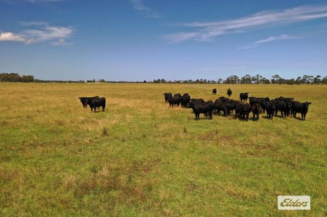 Bradleys Road, VIC 3851