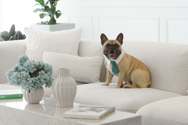 505/72 Allara Street, ACT 2601