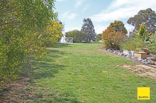 Backyard (2019-10-11)
