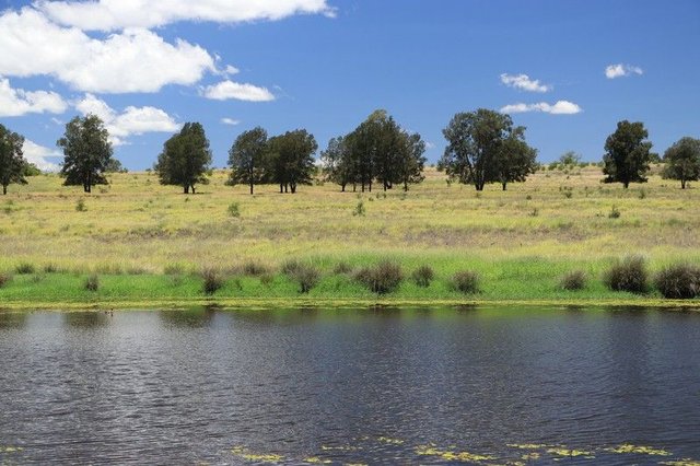 2053 Wallumbilla North Rd, QLD 4428