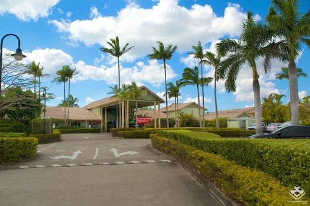 ID:21166320/215 Cottesloe Drive, QLD 4218