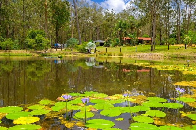 15 Arborseventeen Road, QLD 4570