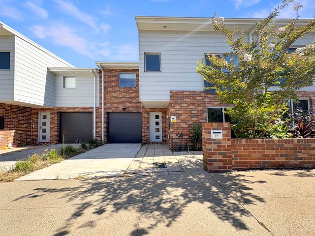 58 Tredwell St, ACT 2615