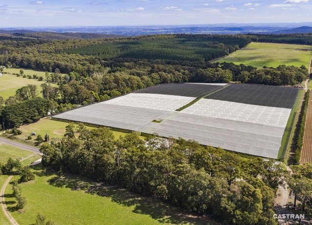 1363 Whittlesea Yea Road, VIC 3757