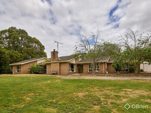 81 Colquhoun Boulevard, VIC 3820