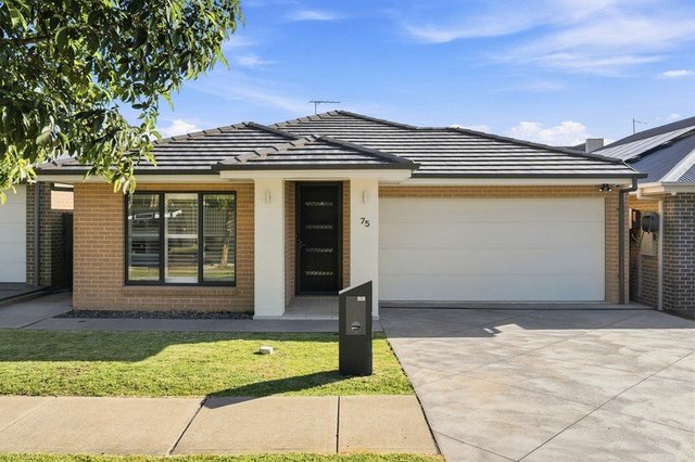 75 Farview Drive, NSW 2565