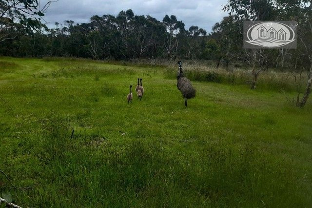 (no street name provided), VIC 3305