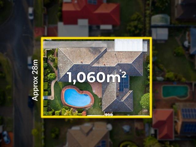 41 Davrod Street, QLD 4109