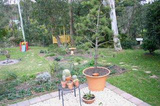 Backyard (2005-09-02)