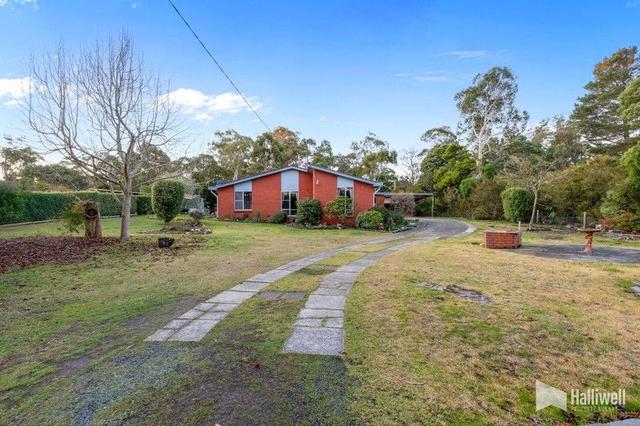 141 Charles Street, TAS 7307