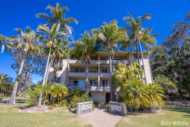 23/28 Taree Street, NSW 2428