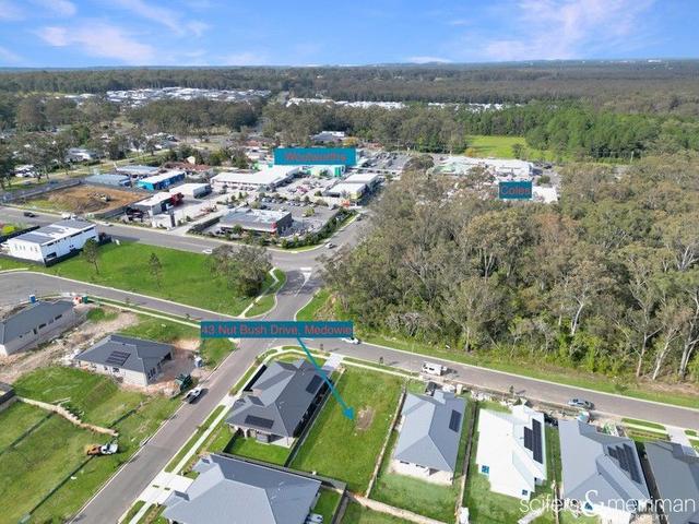 43 Nut Bush Drive, NSW 2318