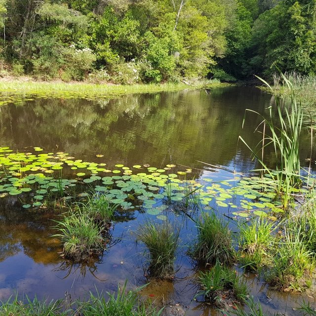 Real Estate for Sale in Valla, NSW 2448 Allhomes