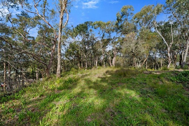 8 Park Road, NSW 2778