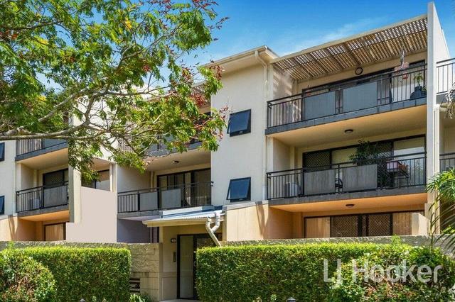 42/55 Harries Road, QLD 4151