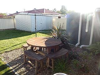 Standard Photo (2015-11-08)