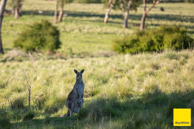 15 Karina Close, NSW 2350