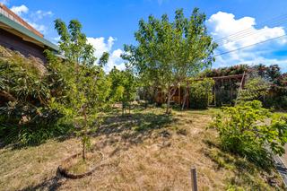 Backyard (2019-10-31)