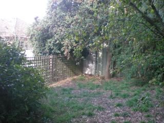 Garden (2010-05-03)