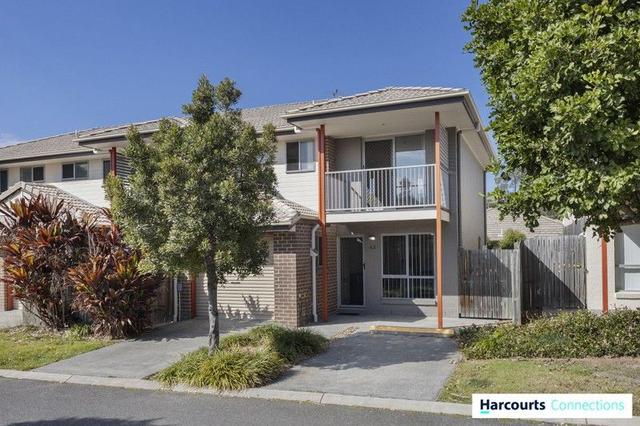 42/17-27 Mulgrave Road, QLD 4132