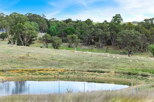 45 Hewitts Lane, Grabben Gullen, NSW 2583