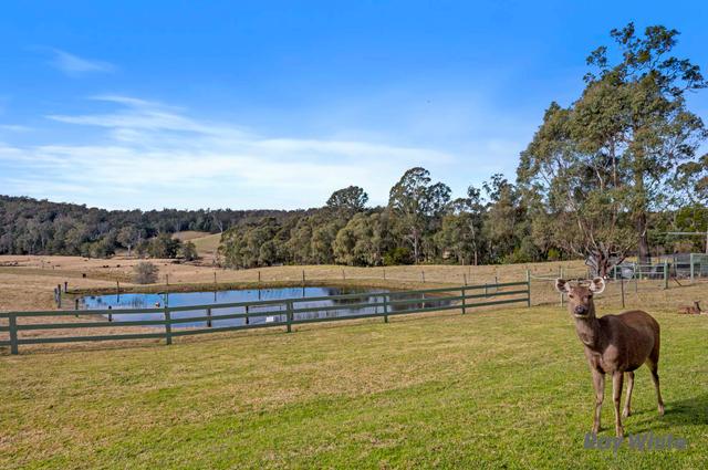 235 Wamban Road, NSW 2537