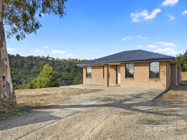 115 Braeview Drive, TAS 7017