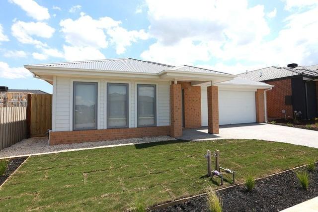 14 Basset St, VIC 3977