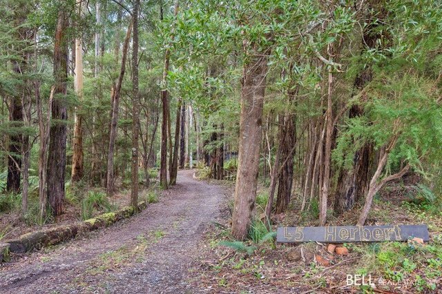 45 Herbert Avenue, VIC 3799