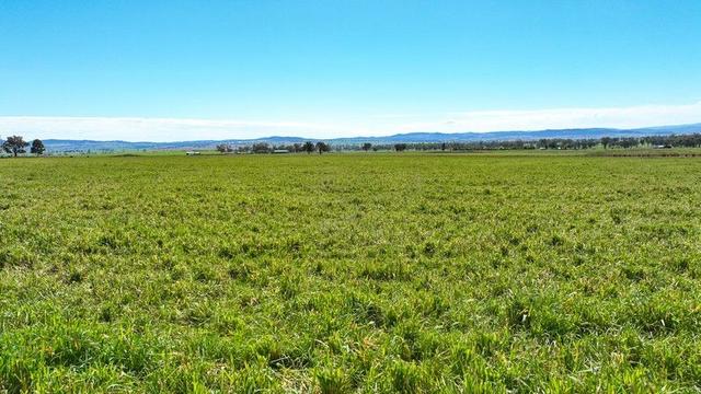 2363 Oxley Highway, NSW 2340