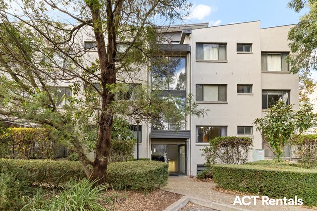 153/395 Antill Street, ACT 2602
