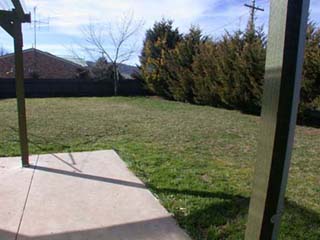 Backyard (2003-09-02)