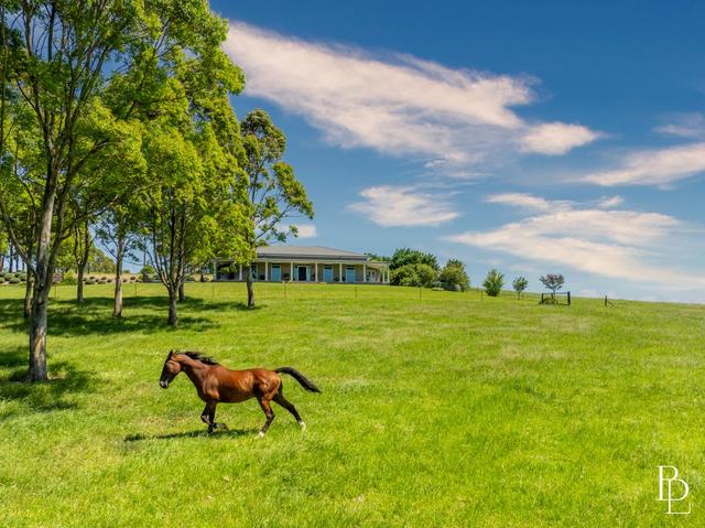 490 Back Forest Road, NSW 2535