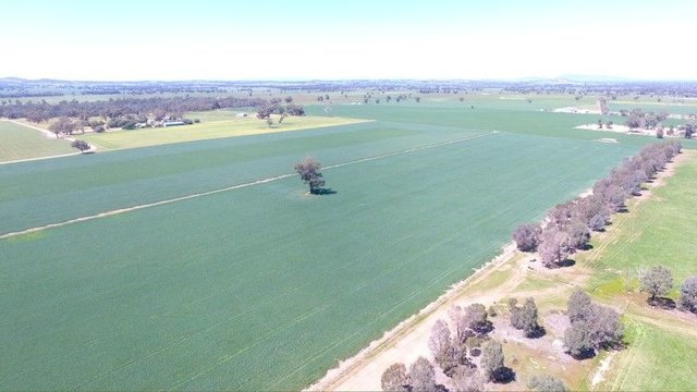 0 Olympic Highway, NSW 2658