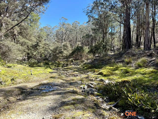 Lots 113 & 114 Kydra Firetrail Greenlands Road, NSW 2631