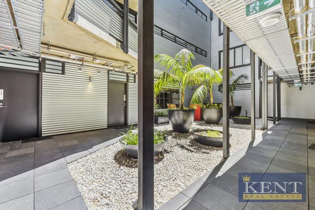 204/478 Wattle Street, NSW 2007