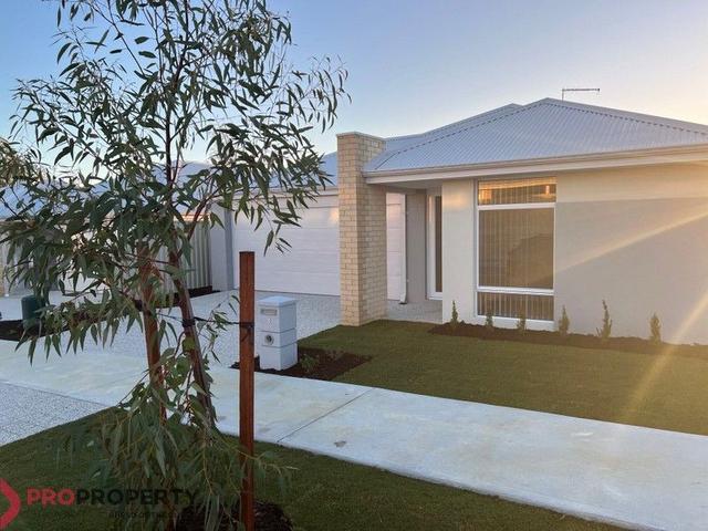 3 Dahlia Rise, WA 6038