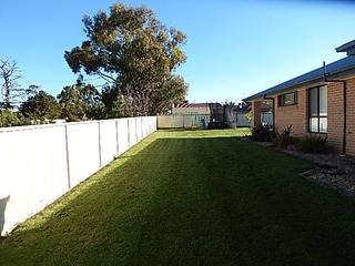 Standard Photo (2015-11-08)